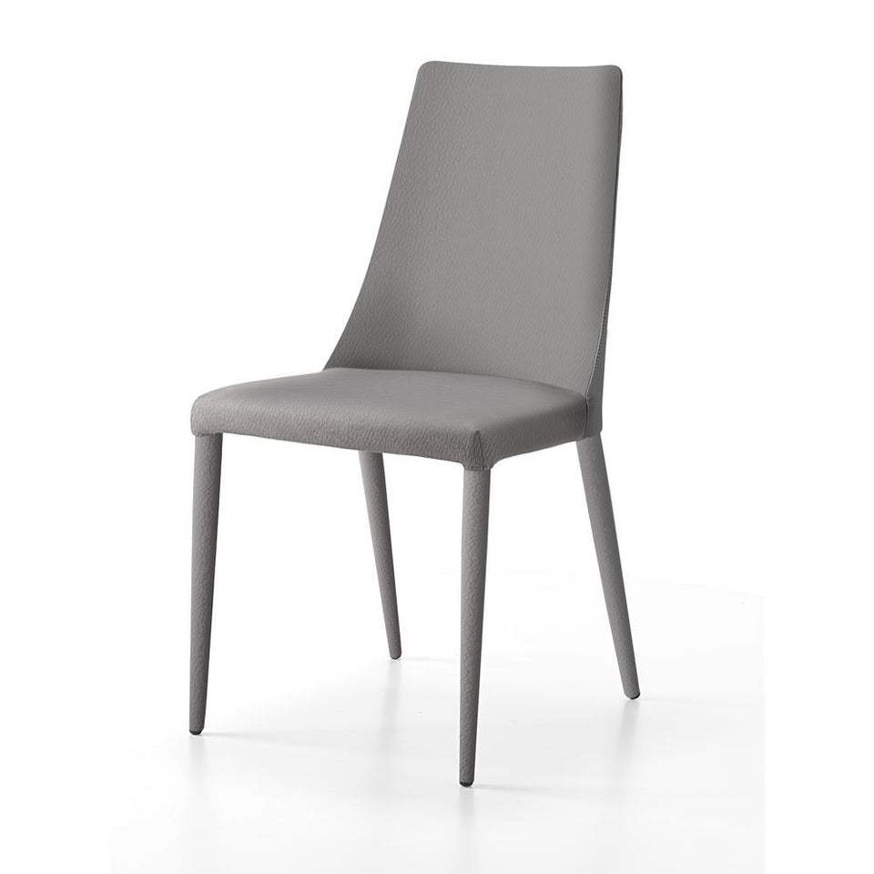 Aloe Grey Dining Chair
