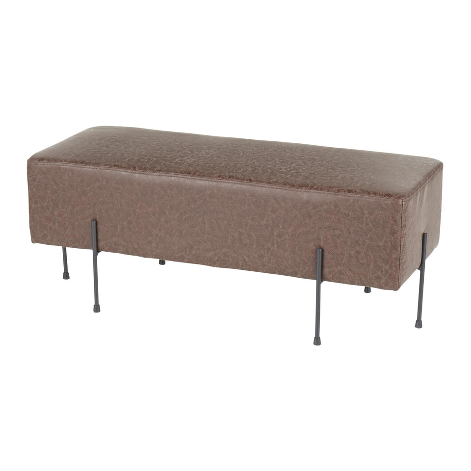 Daniella Bench.
