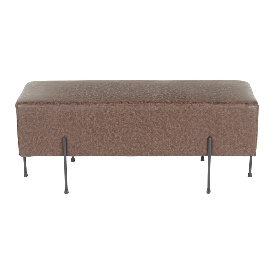 Daniella Bench.