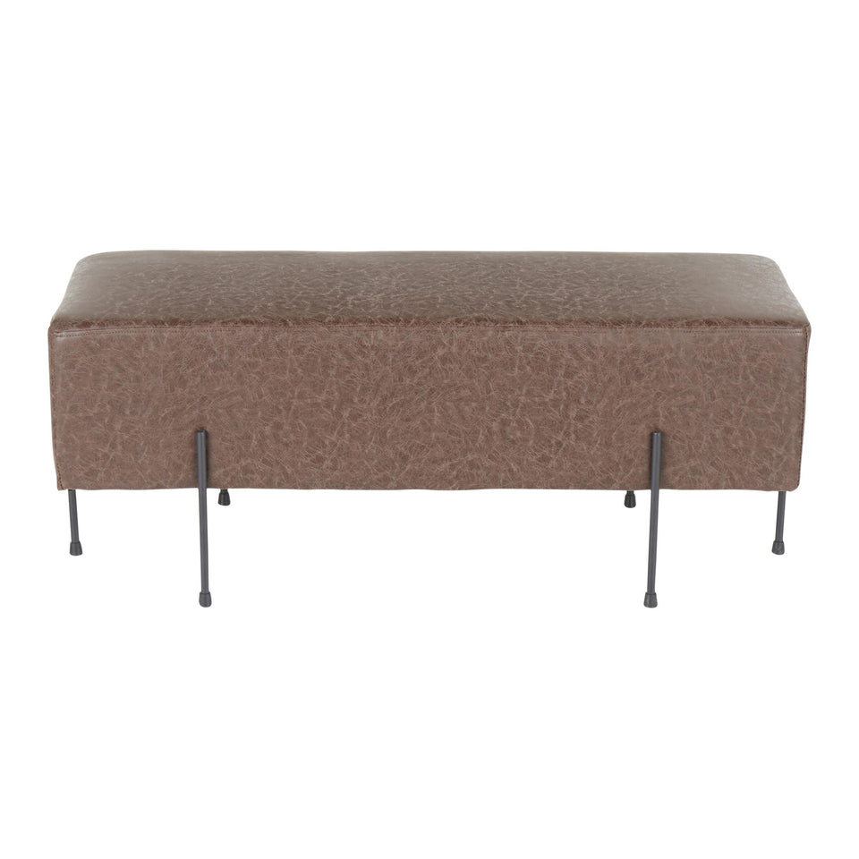 Daniella Bench.