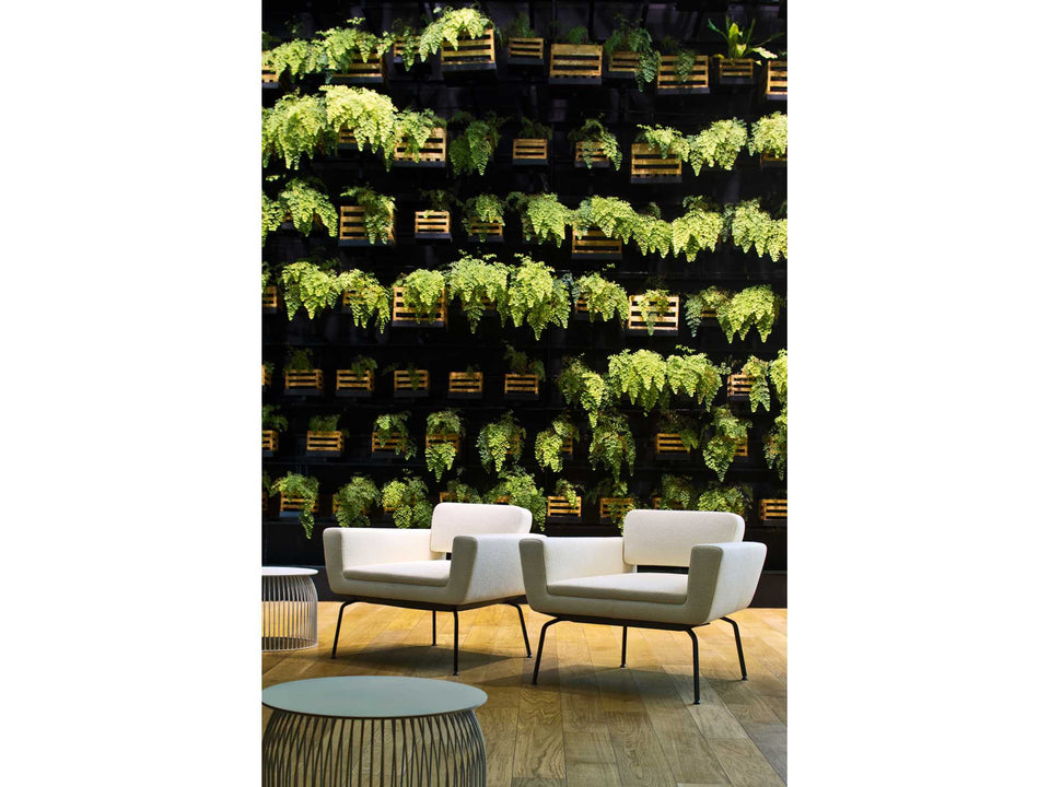 Serie 50 Small Armchair.