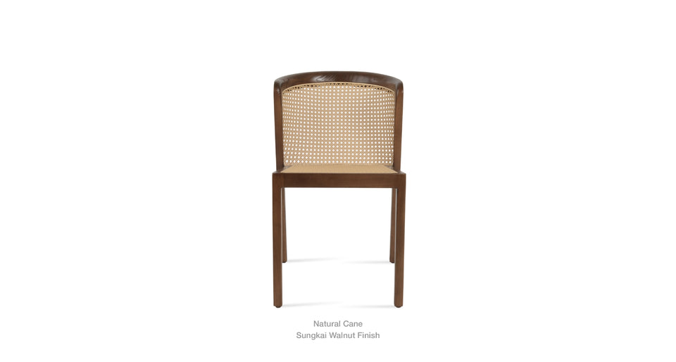 dining chair - back view