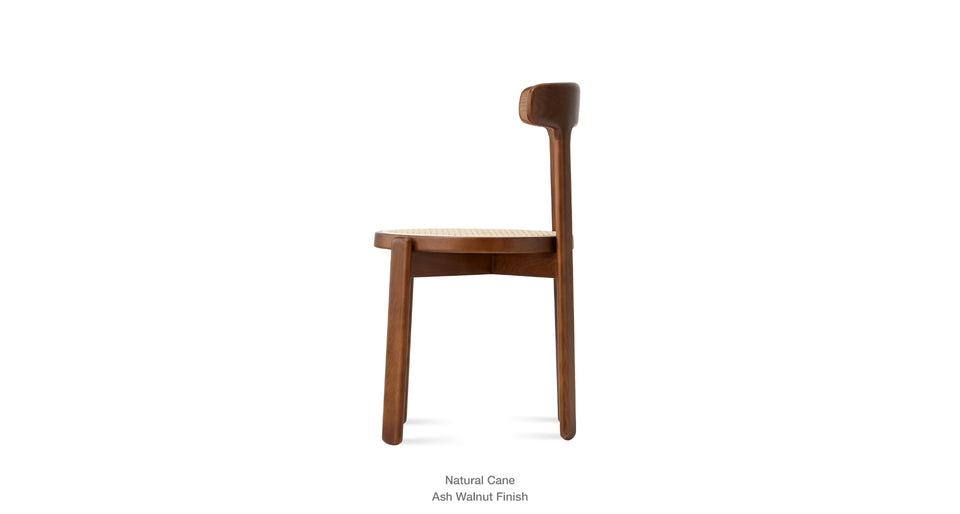dining chair - back view