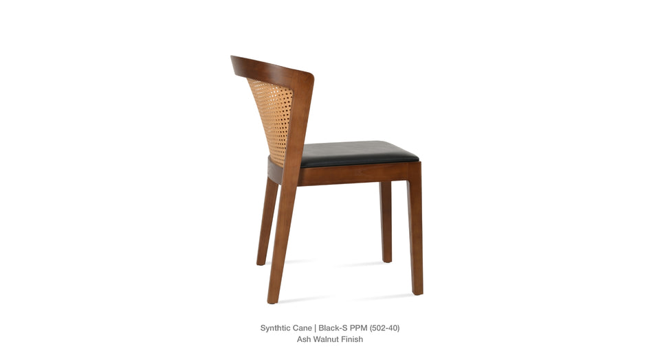 dining chair - back view