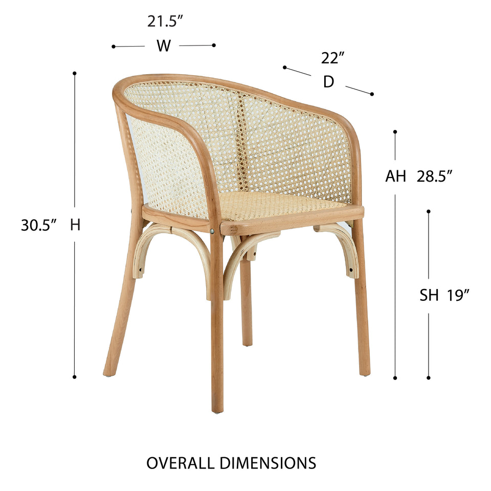 Elsy Armchair