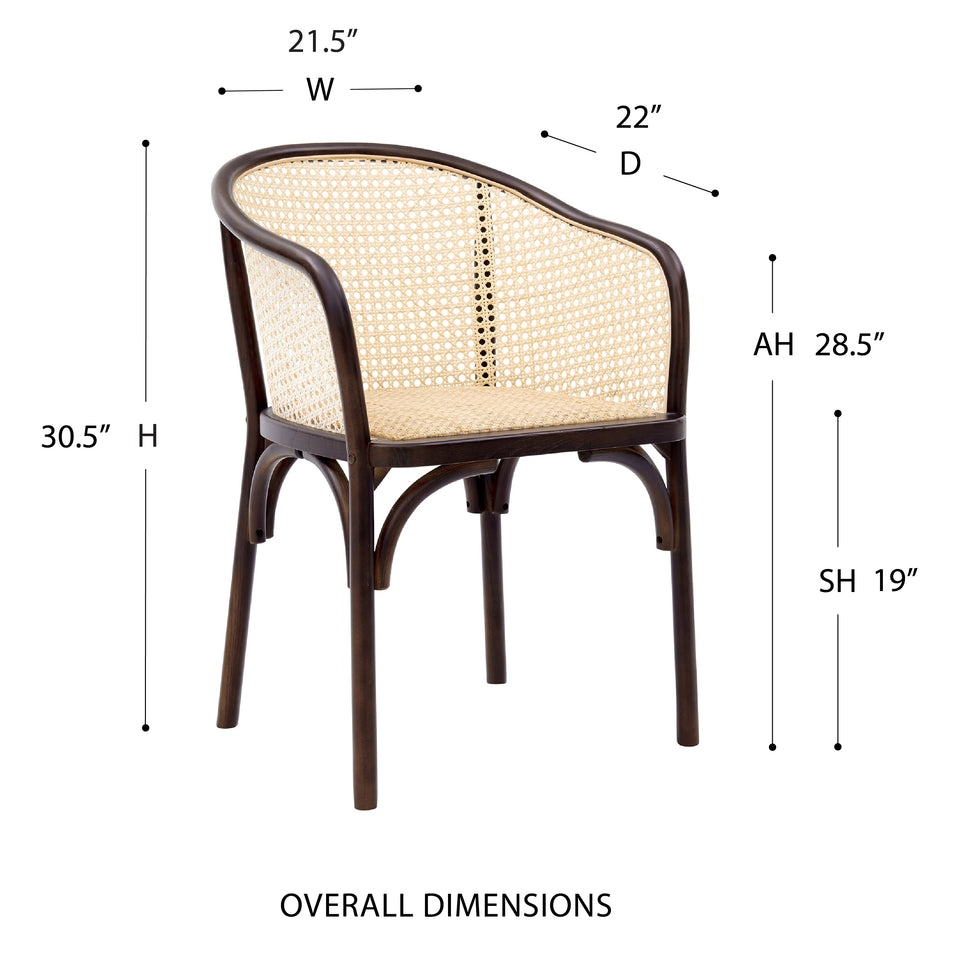 Elsy Armchair