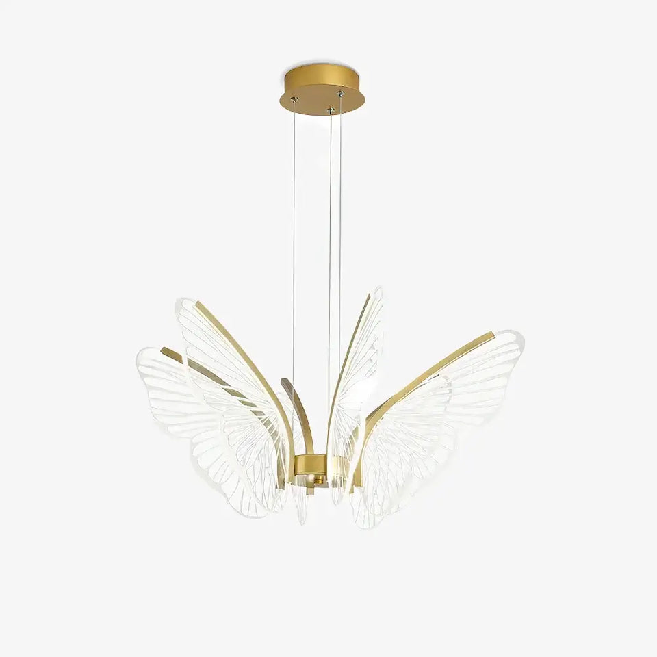 Phalaenopsis Chandelier