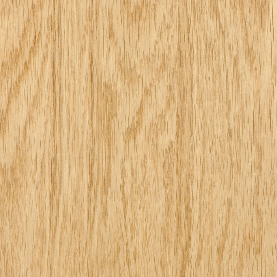 Abby 57" Bench