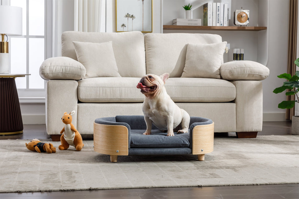 Scandinavian Style Elevated Dog Bed with Velvet Cushion - Modern Pet Bed