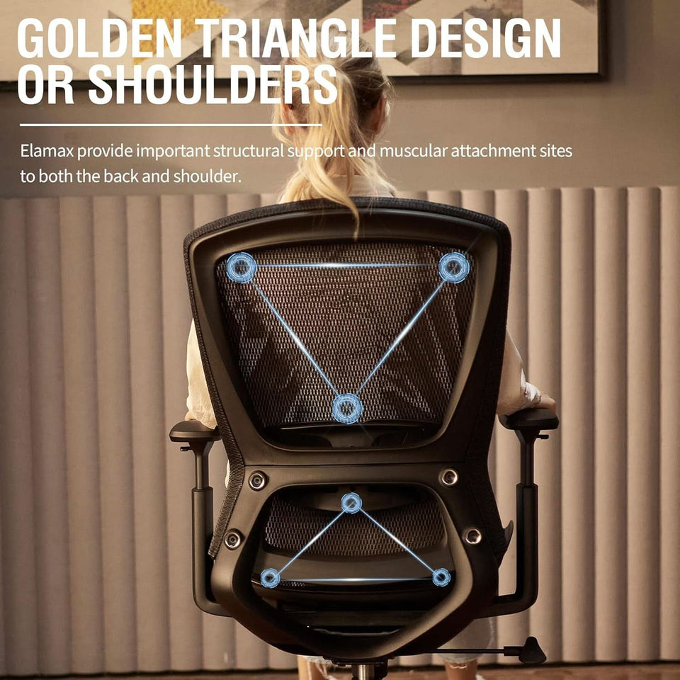 Ergonomic Mesh Office Chair With Adjustable Lumbar Support