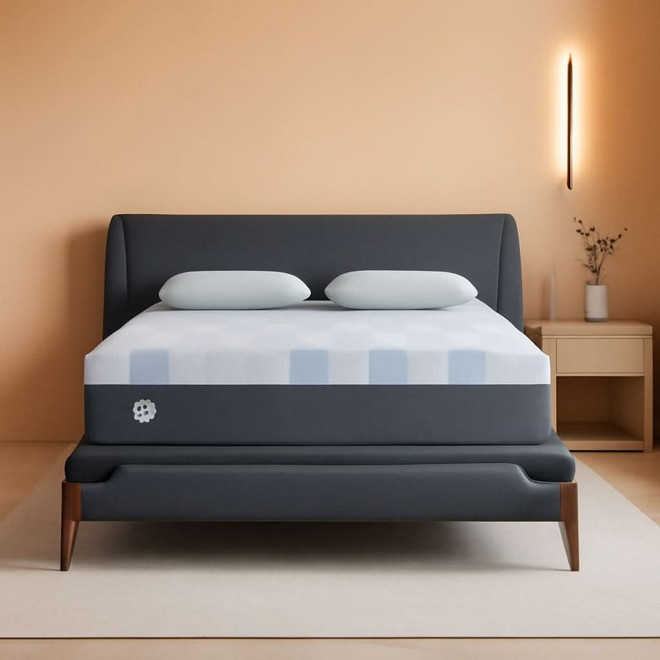 Queen Dreamlife Gel Memory Foam Mattress Surface Guard