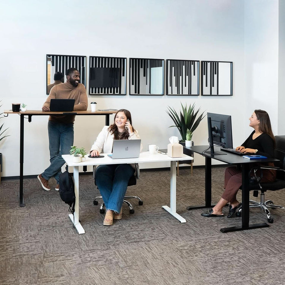 47.2 Inches Electric Standing Desk Height Adjustable