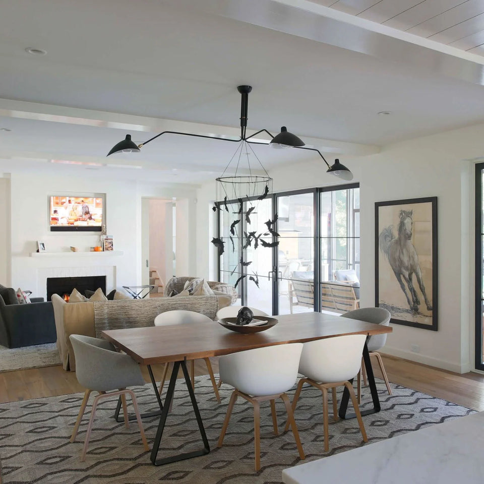 ceiling light - additional view 9