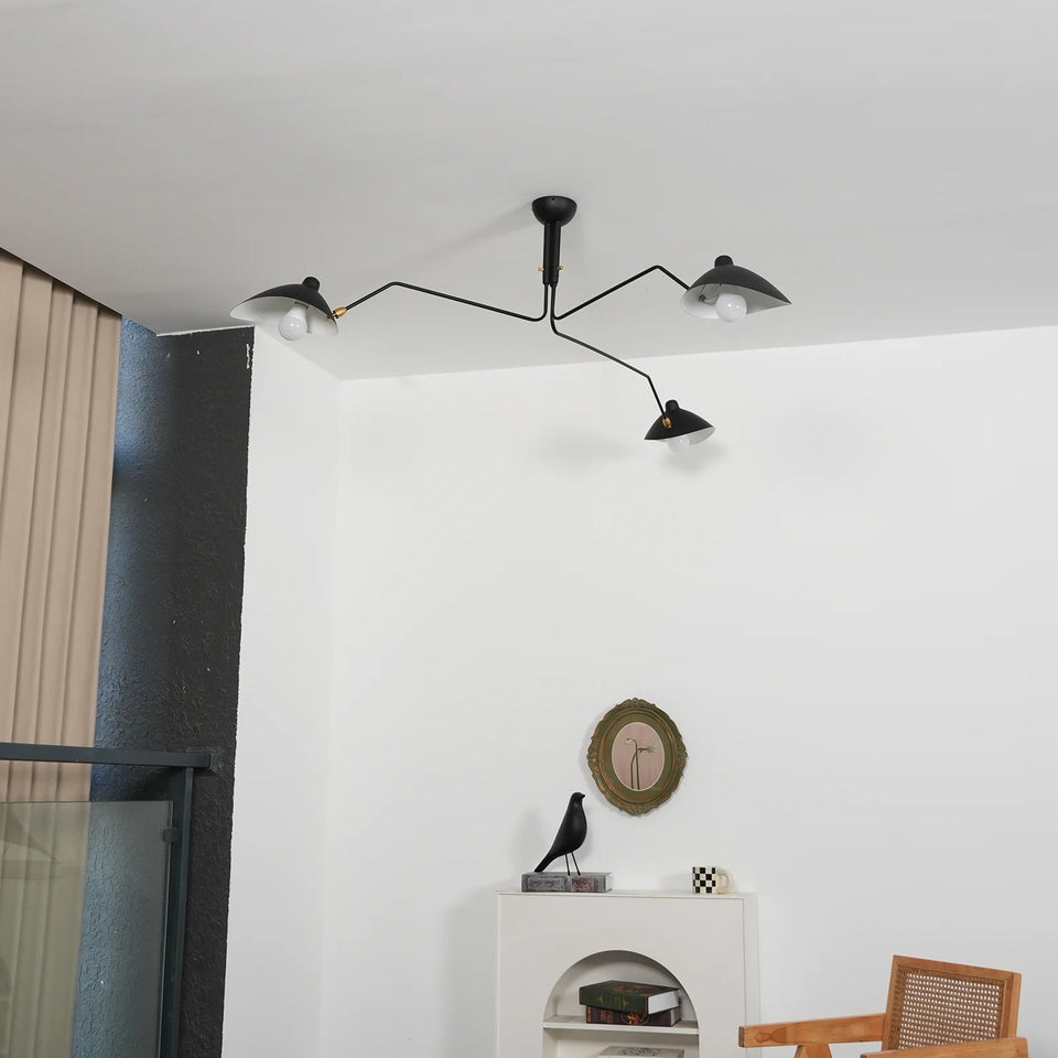 ceiling light - additional view 12