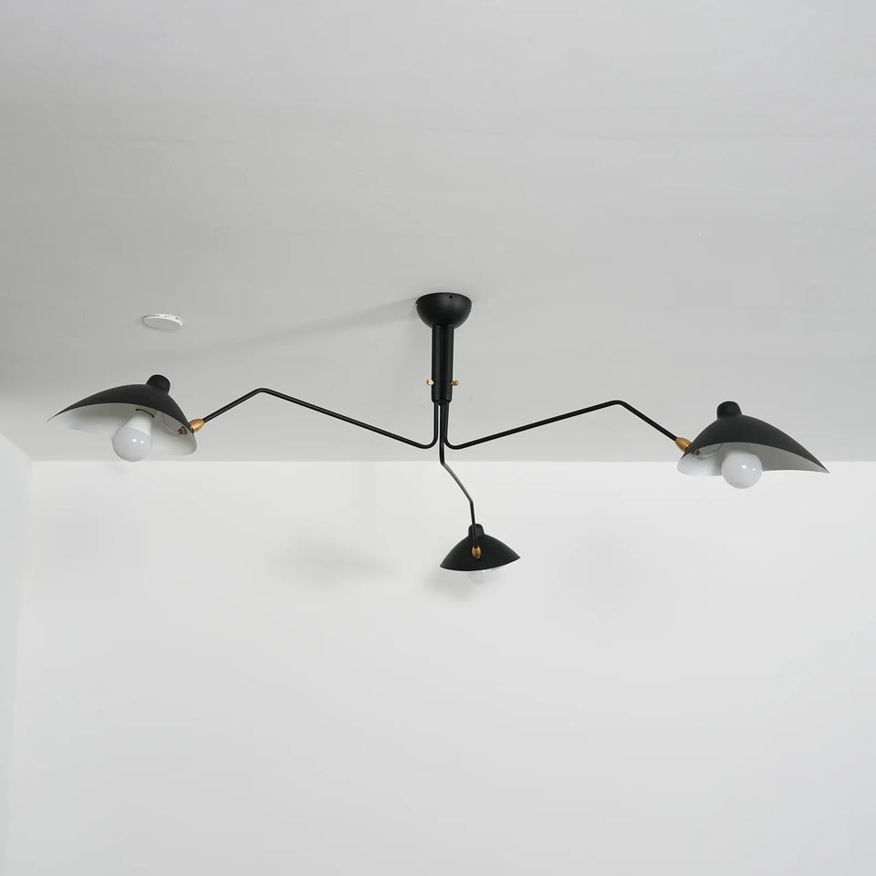 ceiling light - additional view 23