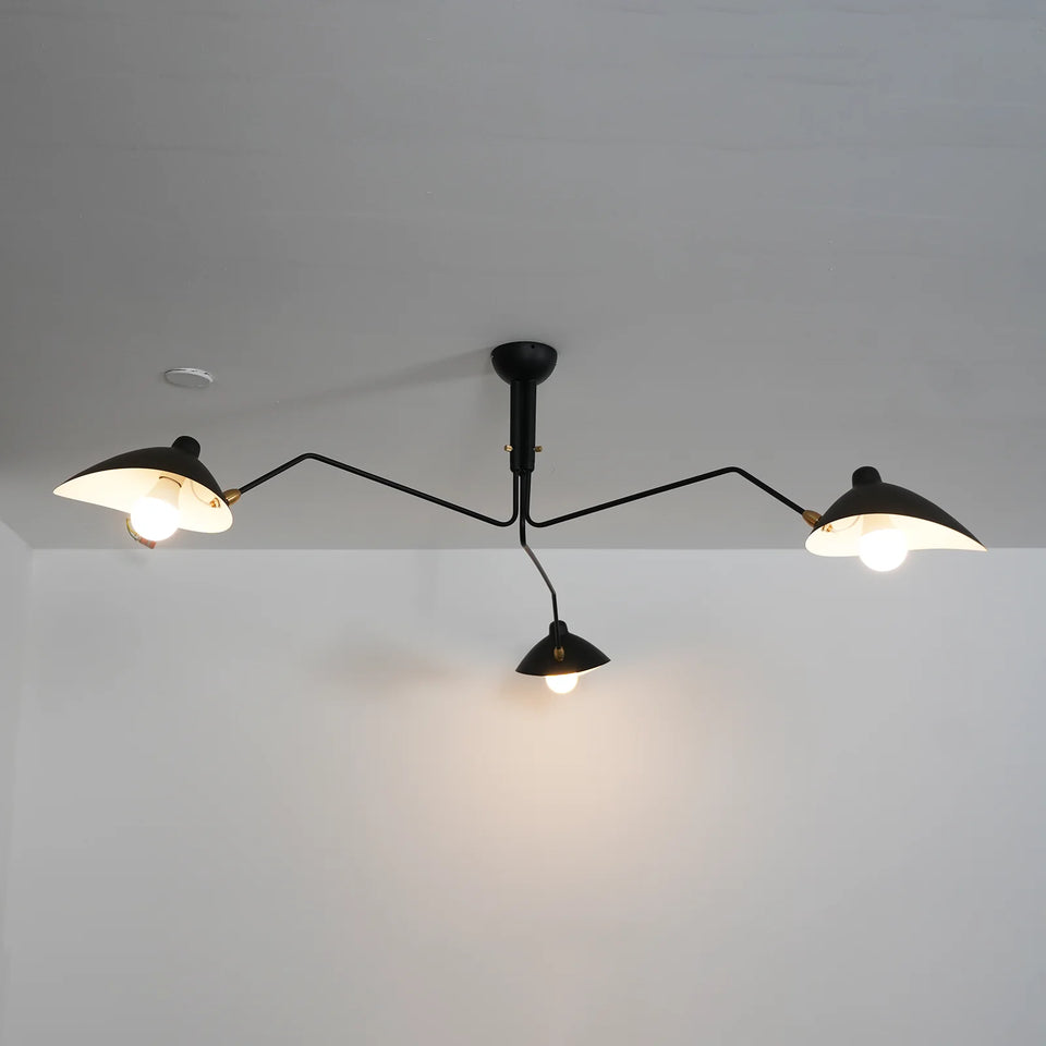 ceiling light - additional view 20