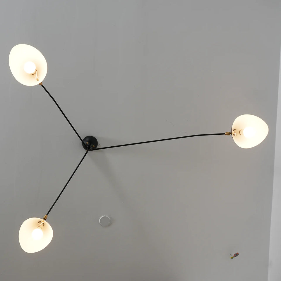ceiling light - additional view 17