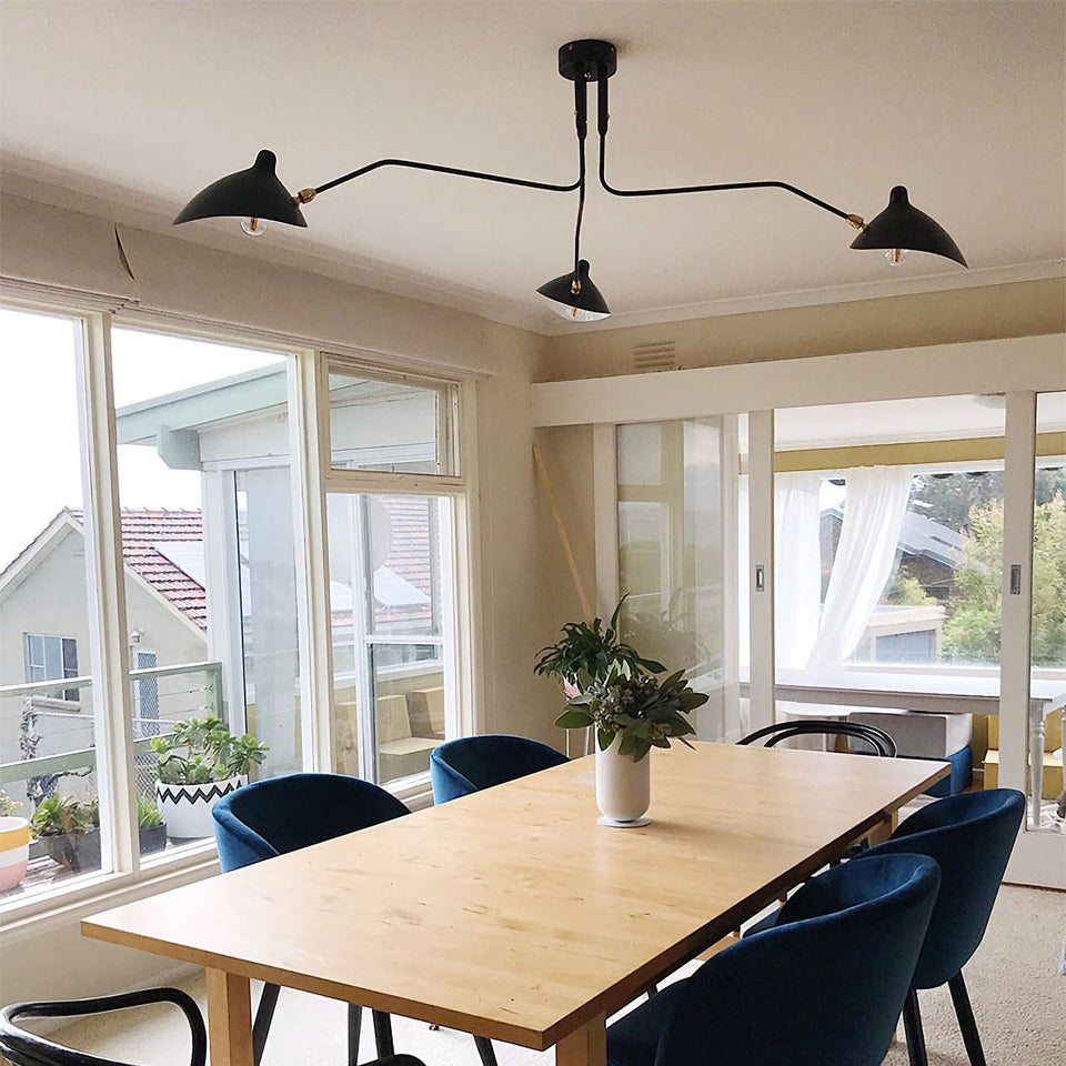 ceiling light - additional view 8
