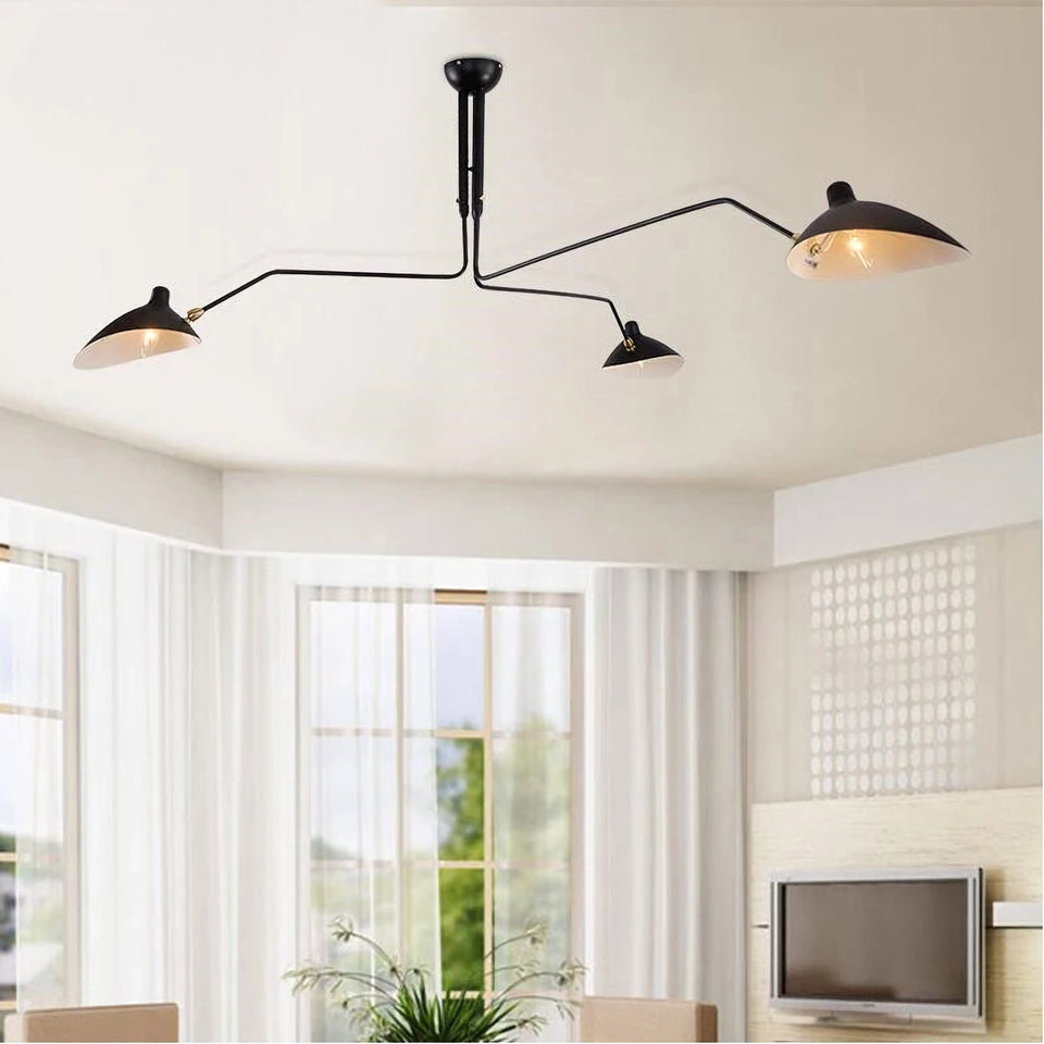 ceiling light - additional view 11