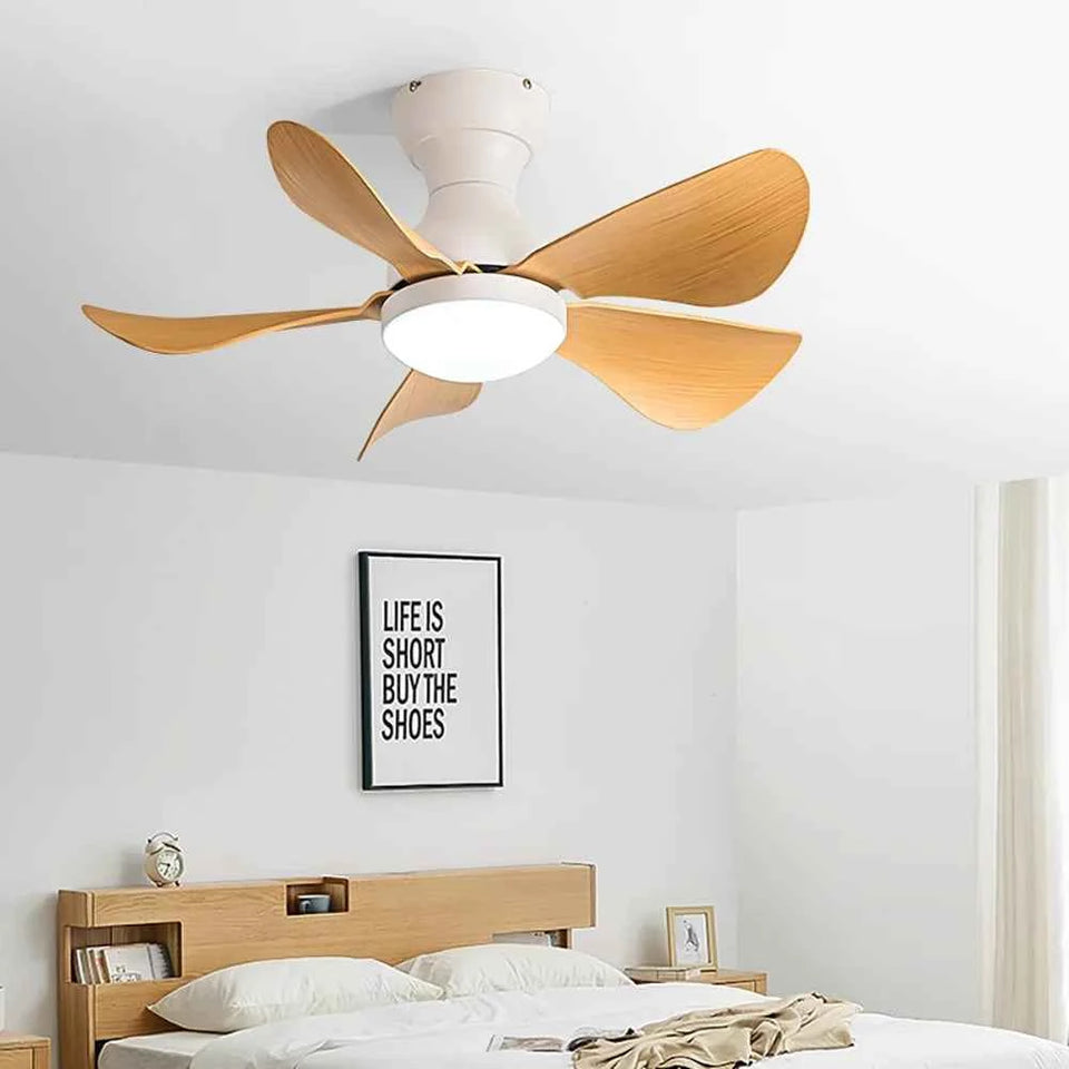 Arilia Small Blade Ceiling Fan Light