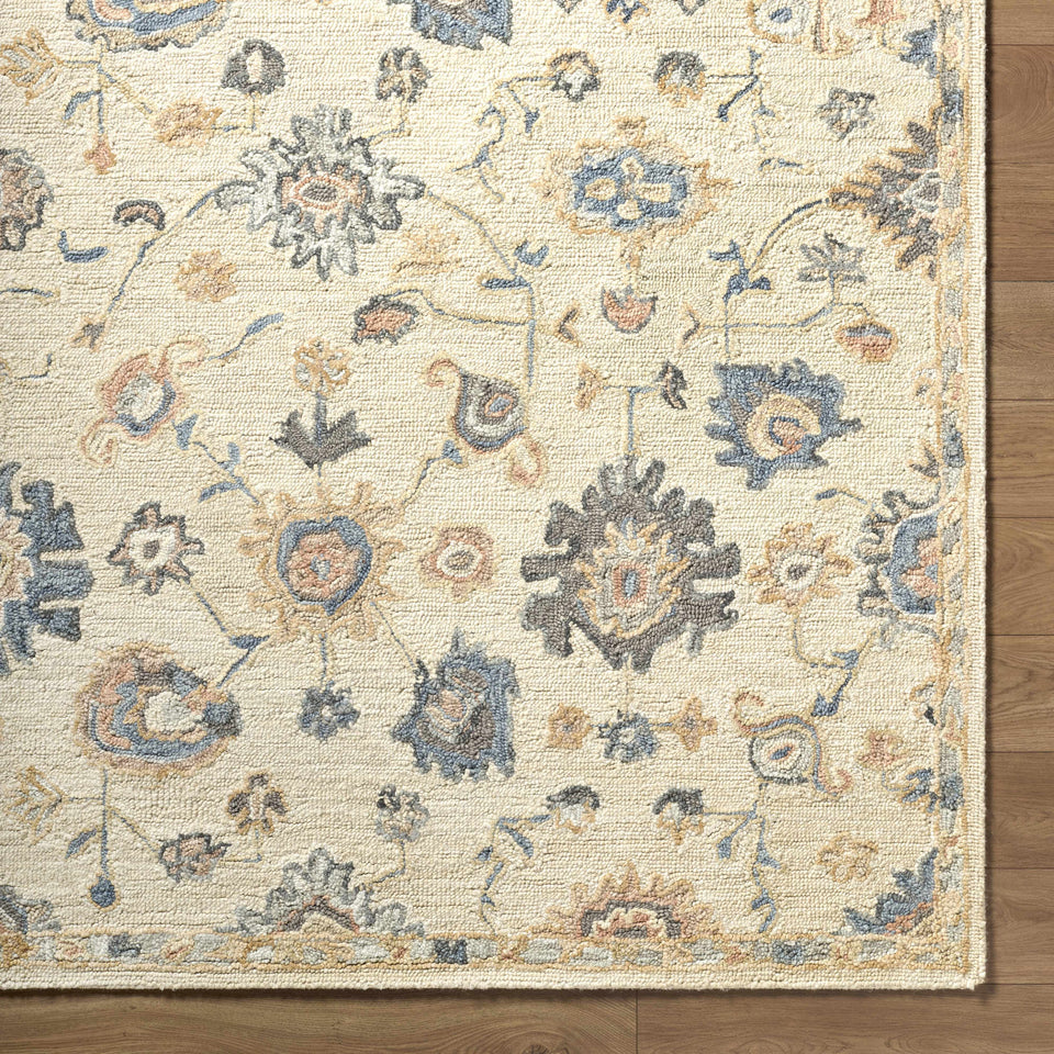 Candid Oushak Area Rug