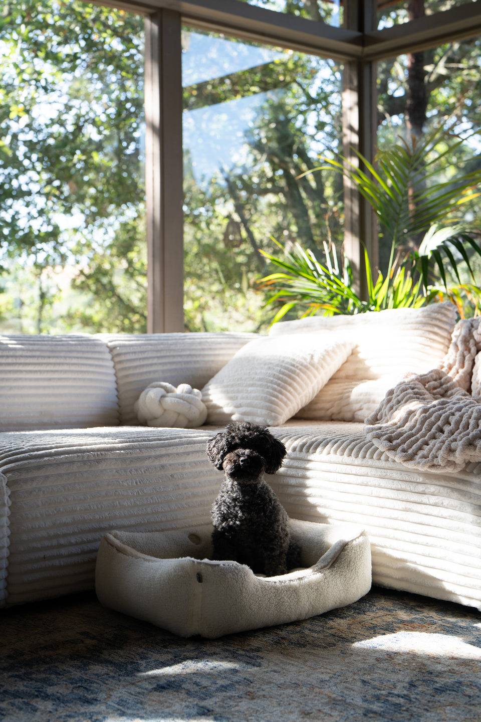 Chester & Lee | Furry Sleeper Dog Bed Gray
