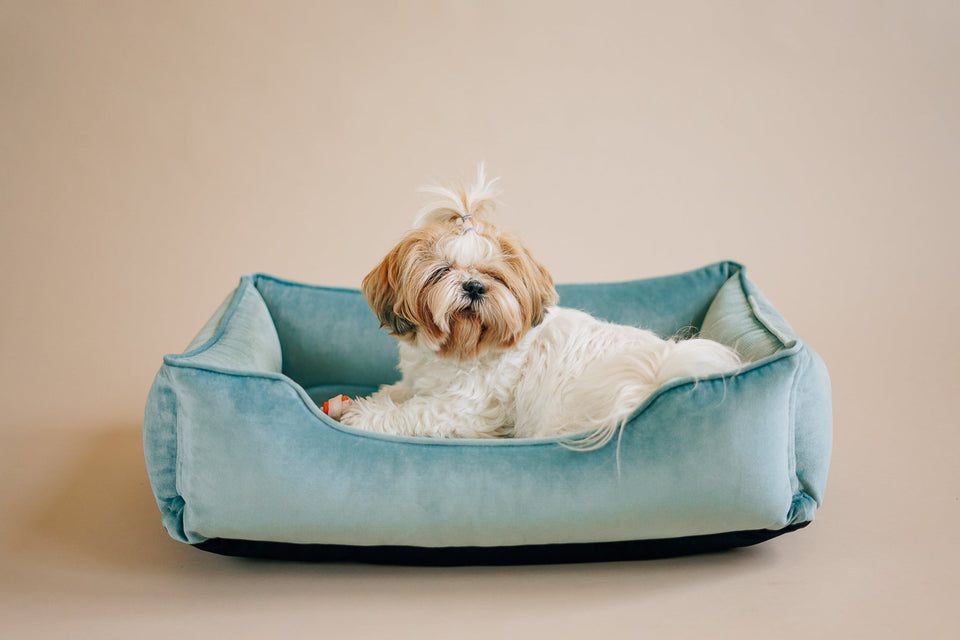 Chester & Lee | Vibrant Velvet Sleeper Dog Bed Tiffany