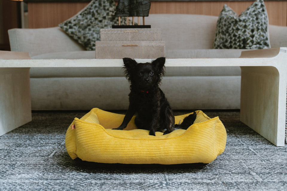 Chester & Lee | Fancy Corduroy Sleeper Dog Bed Sunny Yellow