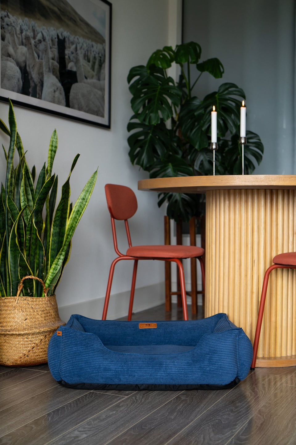 Chester & Lee | Fancy Corduroy Sleeper Dog Bed Blue
