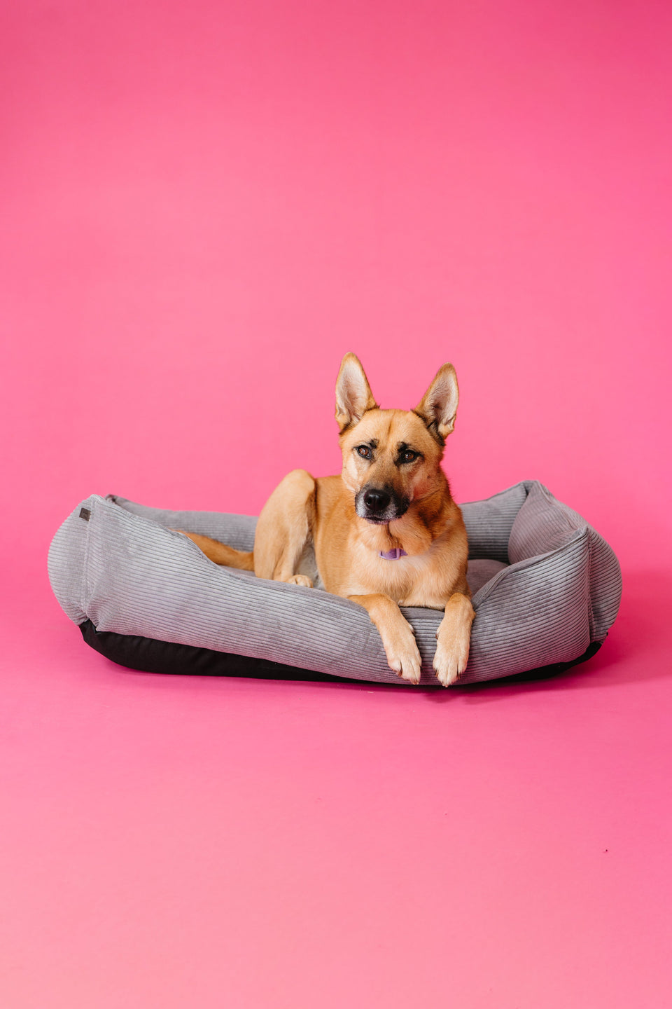 Chester & Lee | Fancy Corduroy Sleeper Dog Bed Gray