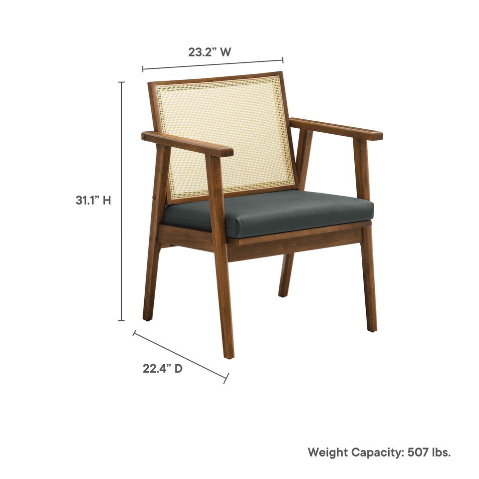 Thera Vegan Leather and Cane Accent Armchairs Set of 2