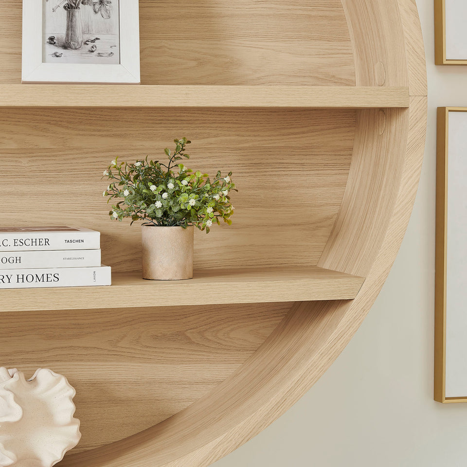Romy 47" Round Wall Book Shelf by Modway