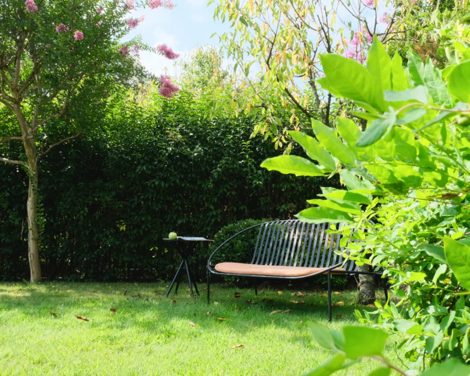 Rosa Bench