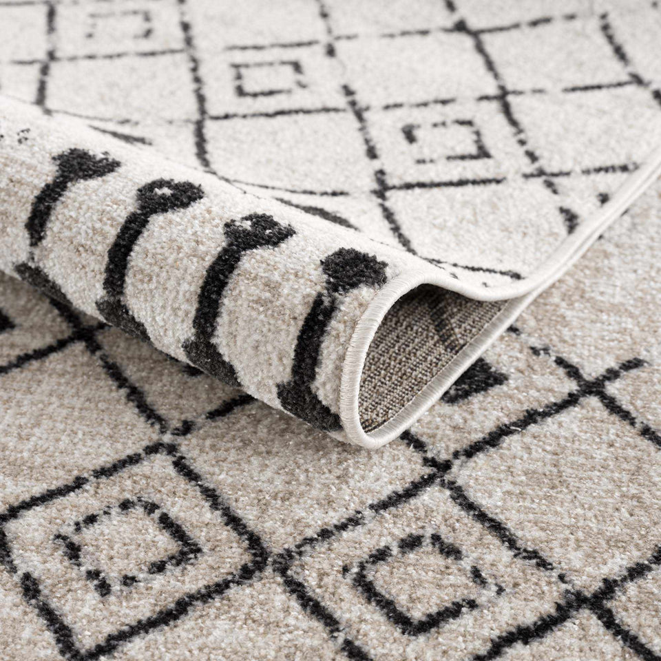 Joppatowne Washable Area Rug - Clearance