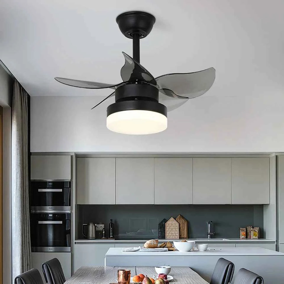 Lighted LED American Ceiling Fan Light