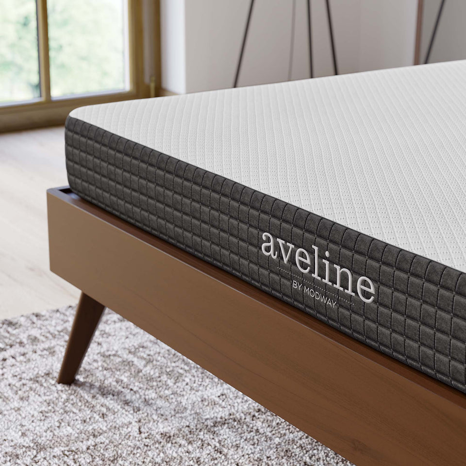 Aveline 6" Queen Mattress by Modway