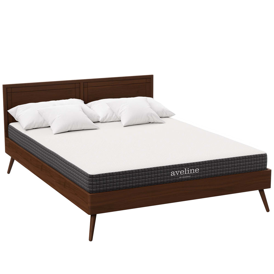 Aveline 6" Queen Mattress by Modway
