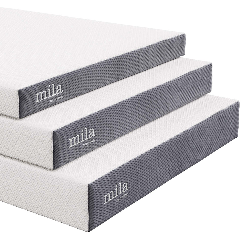 Mila 6" Queen Mattress by Modway
