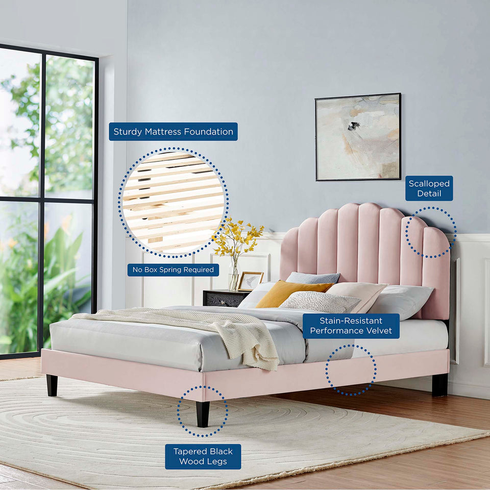 Daisy Tapered Wood Leg Performance Velvet Queen Platform Bed by Modway