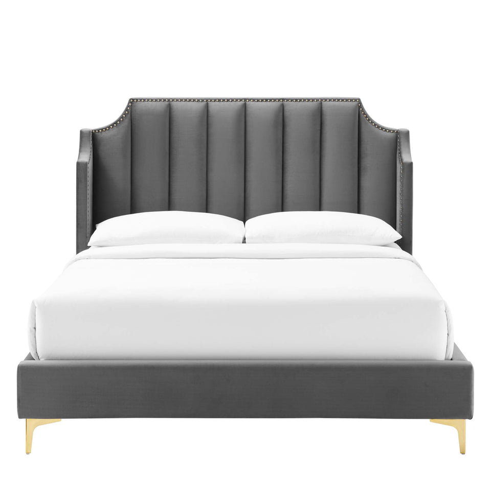 Daniella Performance Velvet Queen Platform Bed by Modway