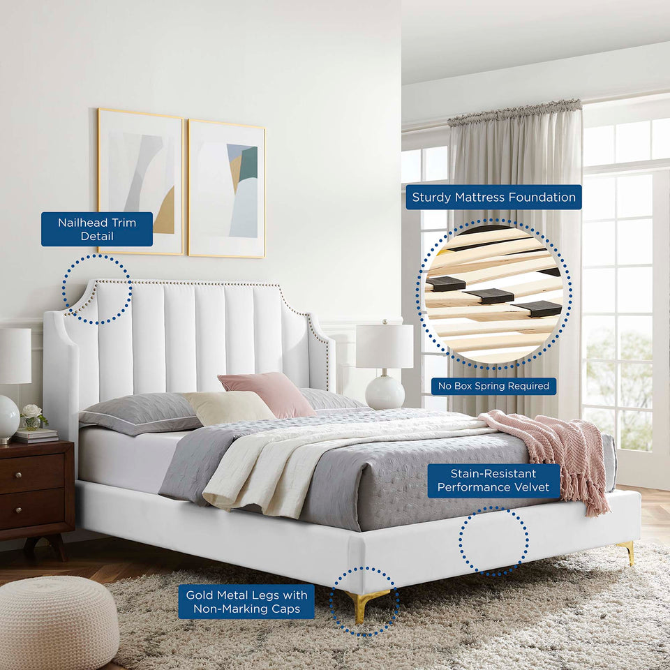 Daniella Performance Velvet Queen Platform Bed by Modway