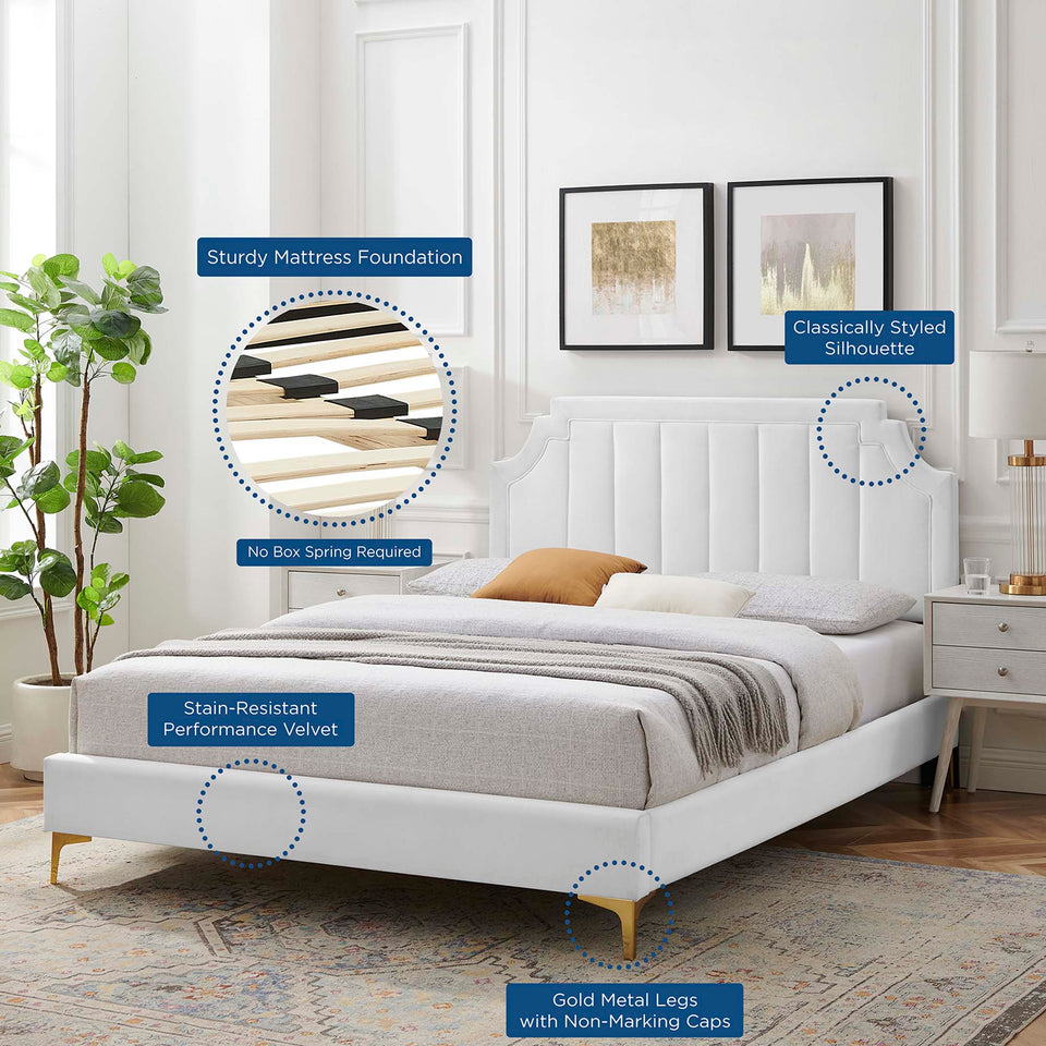 Sienna Performance Velvet Queen Platform Bed by Modway