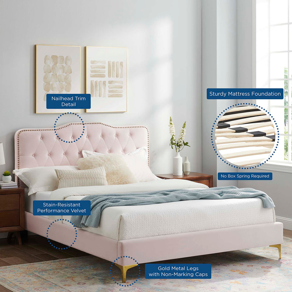 Amber Tufted Performance Velvet Twin Platform Bed by Modway