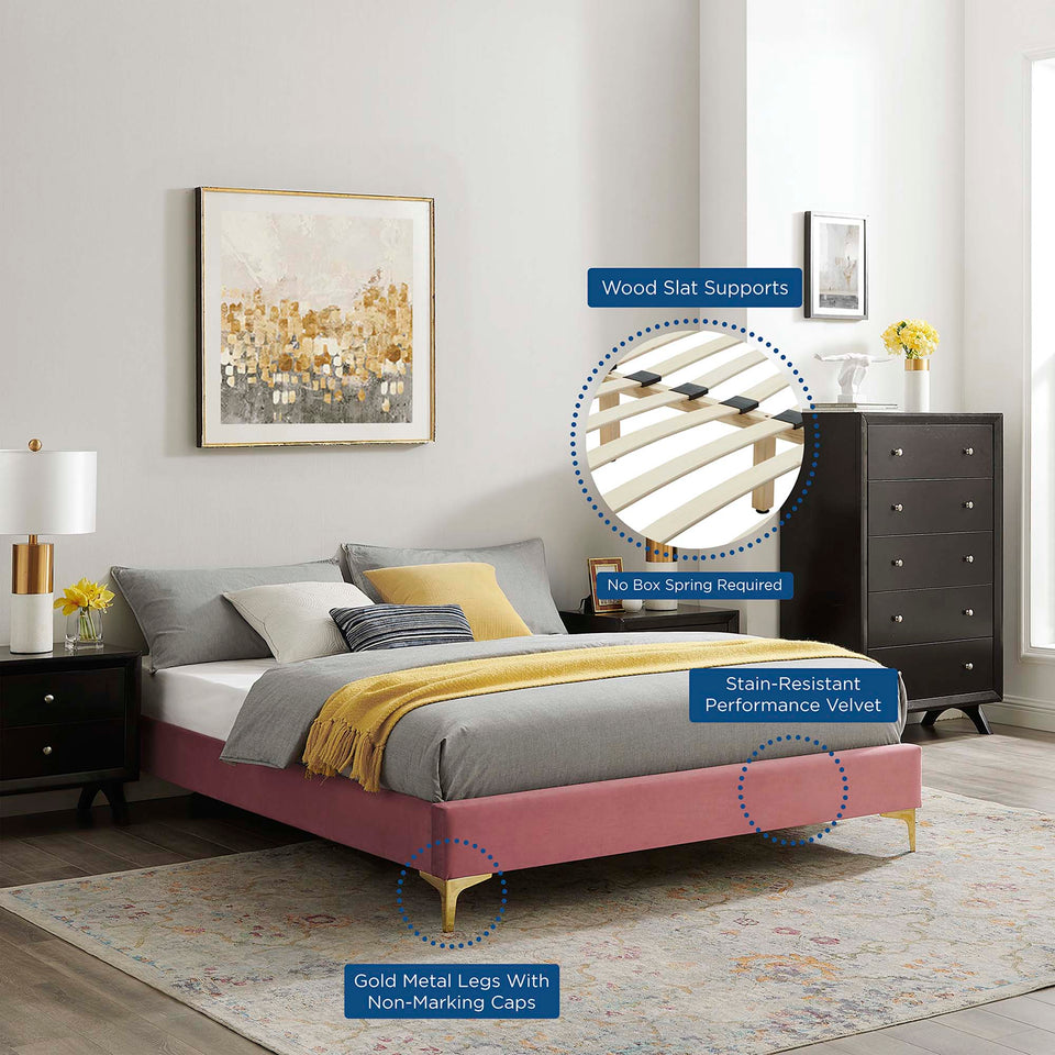 Aviana Performance Velvet Bed With Gold Legs by Modway