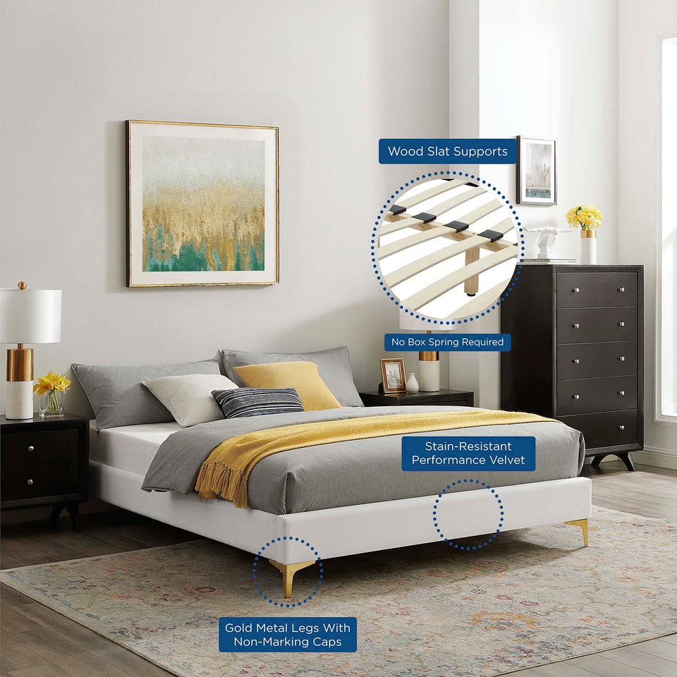 Aviana Performance Velvet Bed With Gold Legs by Modway