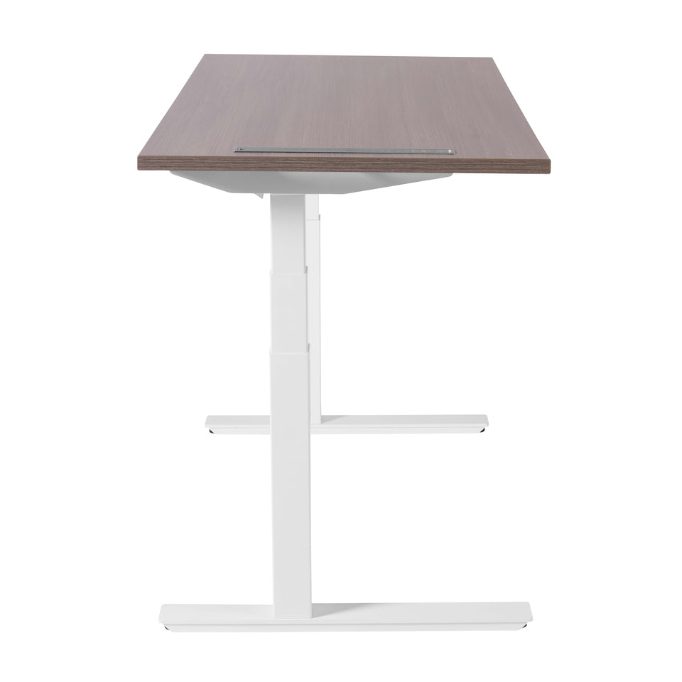 Mastro Series Height Adjustable 27"x59" Desk