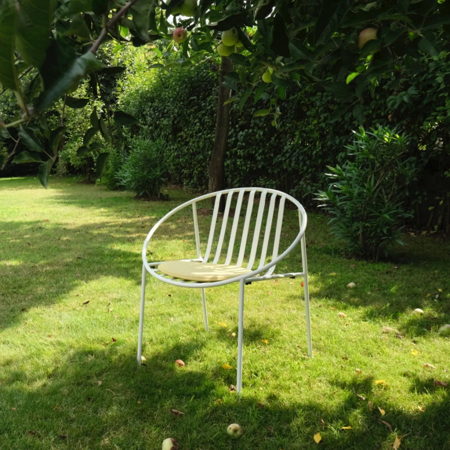 Rosa Lounge Chair