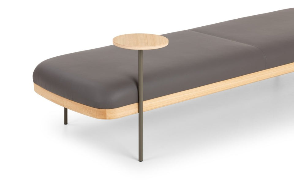 Abisko Bench