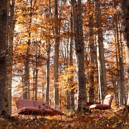 Not Out Lounge Chair
