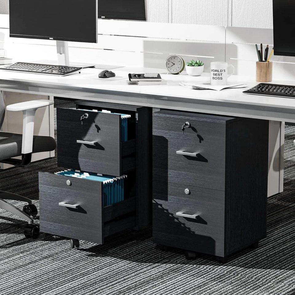 2 Drawer Rolling File Cabinet With Lock For Letter Size Folders Under Desk Black